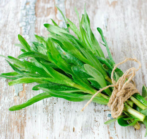 ESTRAGON BARQUETTE 800G