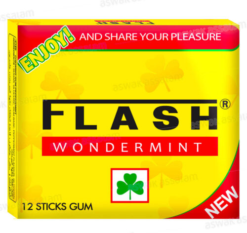 CHEWING-GUM WONDERMINT 12 STICKS FLASH