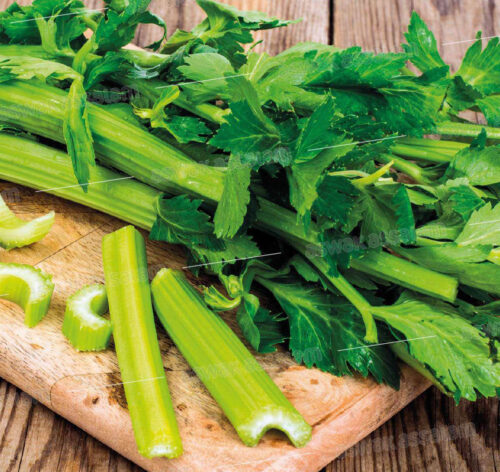 CELERI BOTTE
