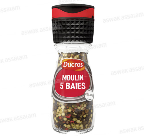 MOULIN 5 BAIES 24G DUCROS