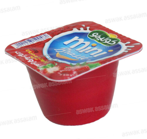 YAOURT MINI BRASSE FRAISE FRAMBOISE 60G COLAIMO