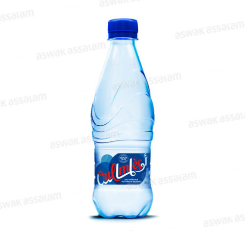 EAU GAZEUSE 33CL OULMES