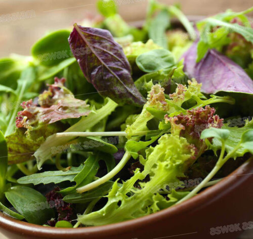 SALADE MESCLIN BARQUETTE 125G