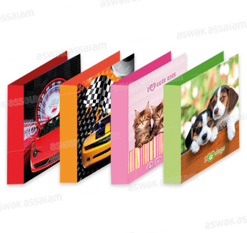 CLASSEUR 17*22CM ANCOR