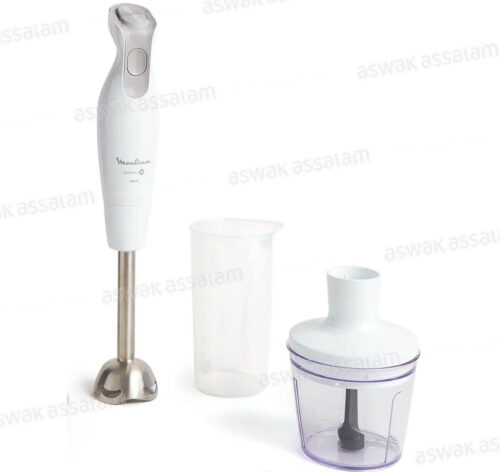 MIXEUR PLONGEANT AVEC ACCESSOIRES 600W INOX DAILYCHEF DD552110 MOULINEX