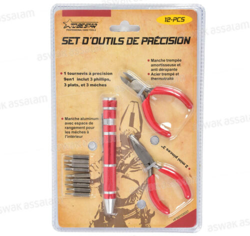 SET D’OUTILS DE PRECISION 12 PIECES