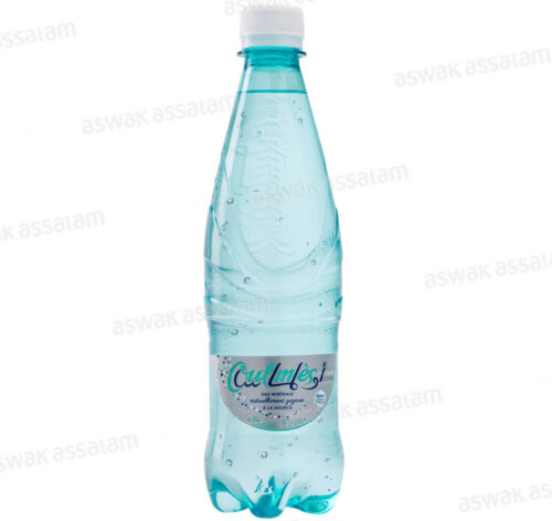 EAU GAZEUSE LEGERE 50CL OULMES