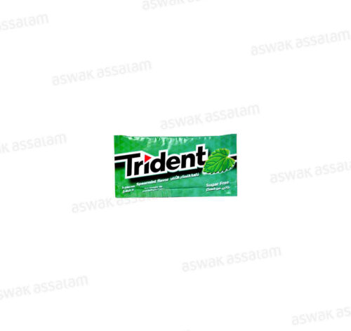 CHEWING-GUM SPEARMINT 5 PIECES TRIDENT