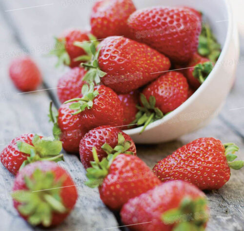 FRAISE BARQUETTE 250