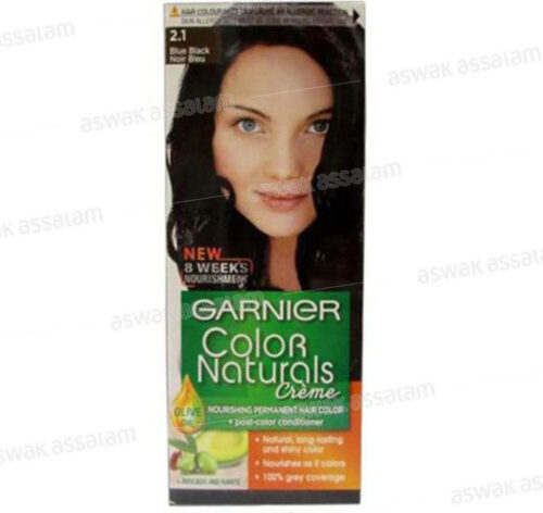COLORATION 2.1 NOIR BLEU COLOR NATURALS GARNIER