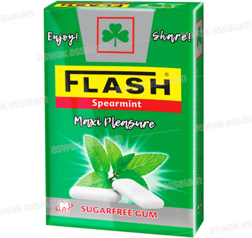CHEWING-GUM SPEARMINT SANS SUCRE DRAGEES 25G FLIP-TOP FLASH