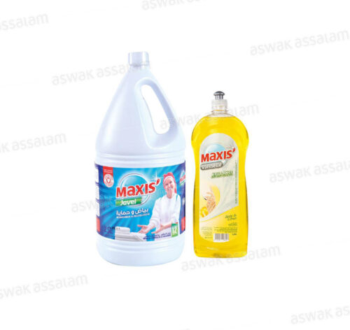 LOT EAU DE JAVEL 2,5L + LIQUIDE VAISSELLE 750ML MAXIS
