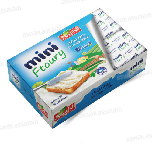 FROMAGE BLANC 6 PORTIONS MINI FTOURY LE BERGER