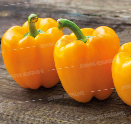 POIVRON JAUNE 1KG