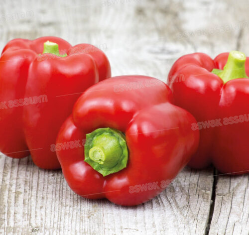 POIVRON ROUGE 1KG