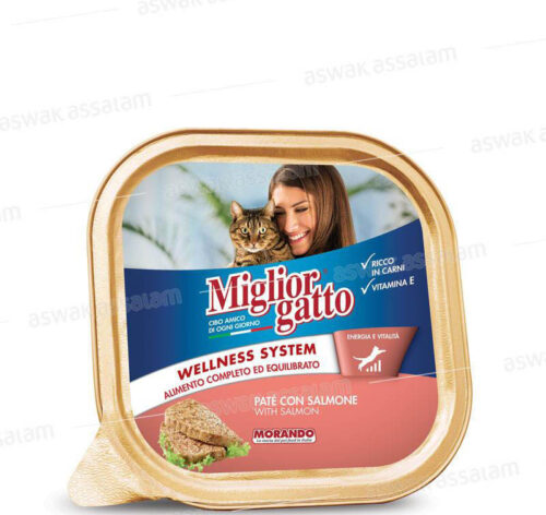 PATE AU SAUMON 100G POUR CHAT MORANDO
