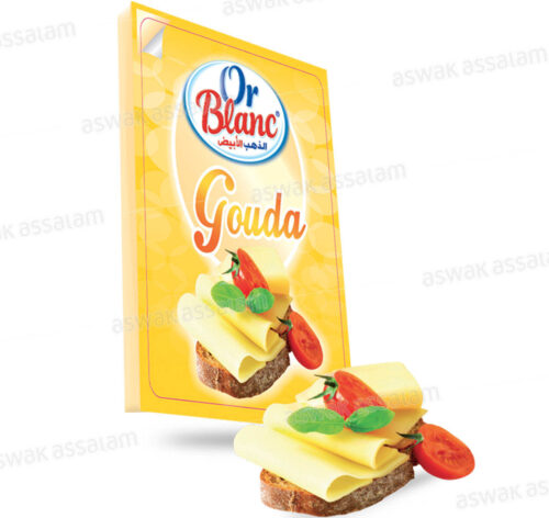 FROMAGE GOUDA EN TRANCHES 100G OR BLANC