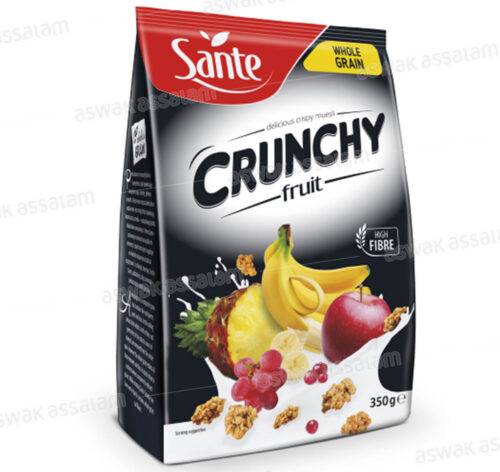 CEREALES CRUNCHY FRUIT 350G SANTE