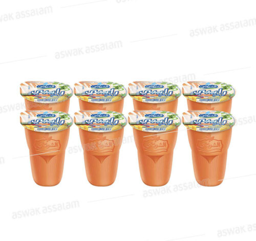 RAIBI TROPICAL 8*165G PACK CHERGUI