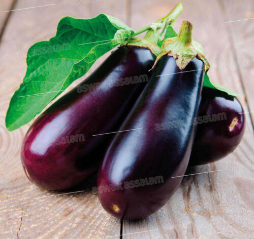 AUBERGINE 1KG