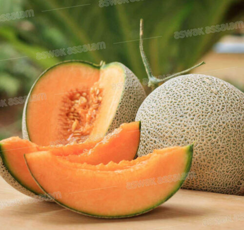 MELON CANTALOUP 1KG