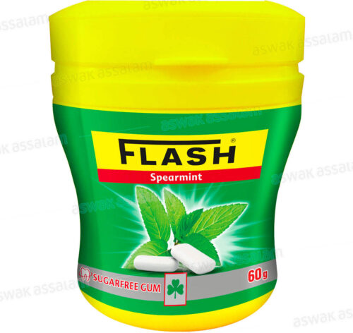 CHEWING-GUM SPEARMINT SANS SUCRE DRAGEES 60G POT IGLOO FLASH