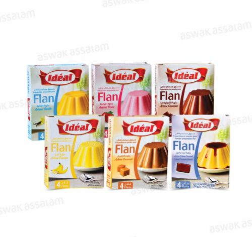 PACK 6 FLANS NON SUCRES FROSTY PANACHE IDEAL