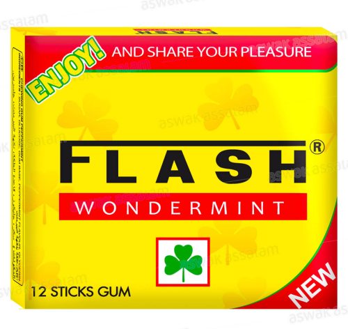 CHEWING-GUM WONDERMINT 12 STICKS FLASH