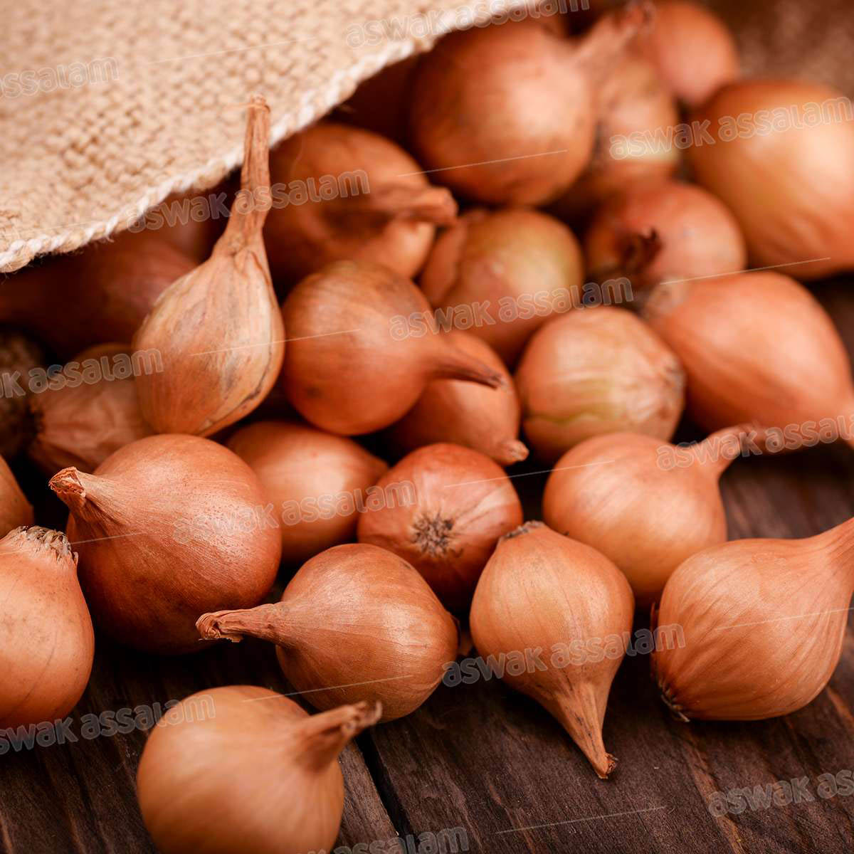 ECHALOTE IMPORT 1KG