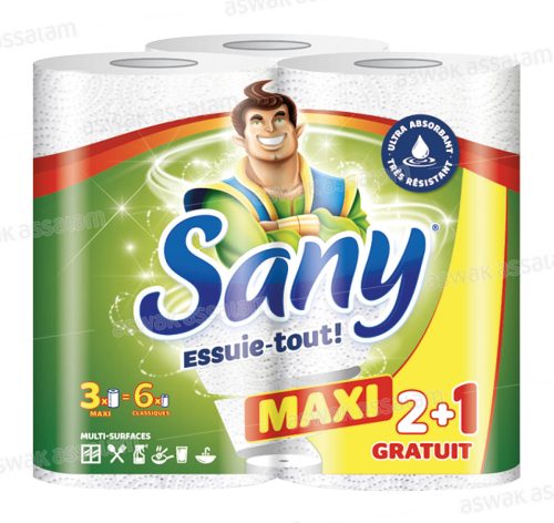 LOT DE 3 ESSUIE-TOUT MAXI 2 PLIS SANY (2 ACHETES = 1 GRATUIT )