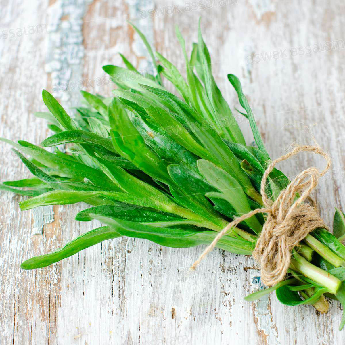 ESTRAGON BARQUETTE 800G