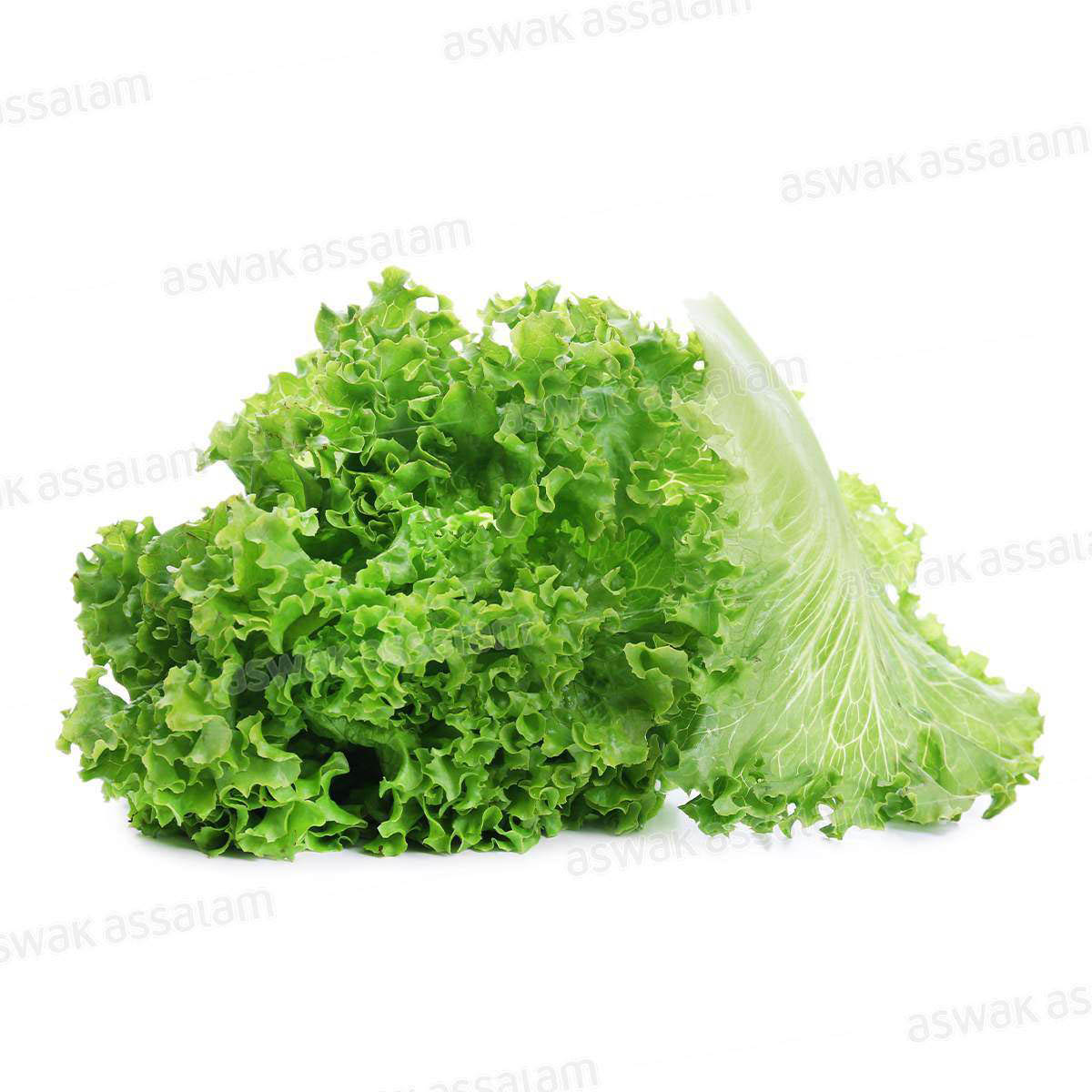 SALADE LOLO VERT PIECE