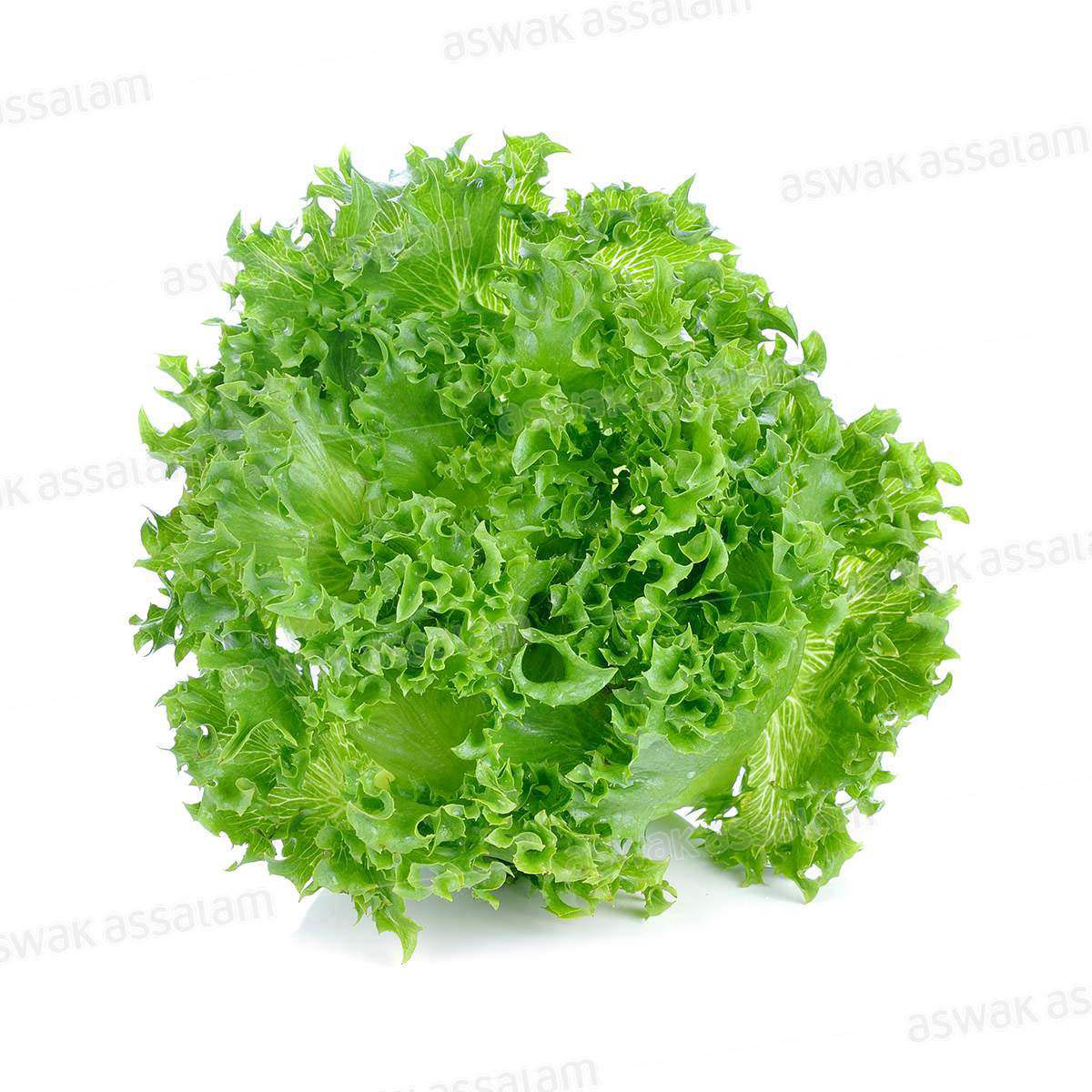 LAITUE FRISEE A LA PIECE
