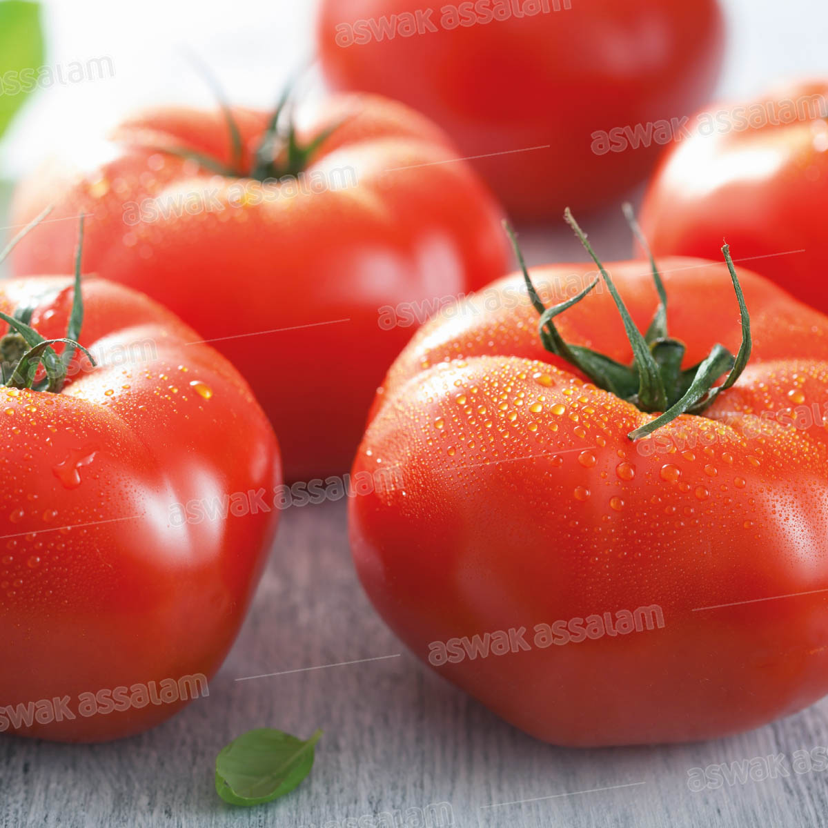 TOMATE 1KG