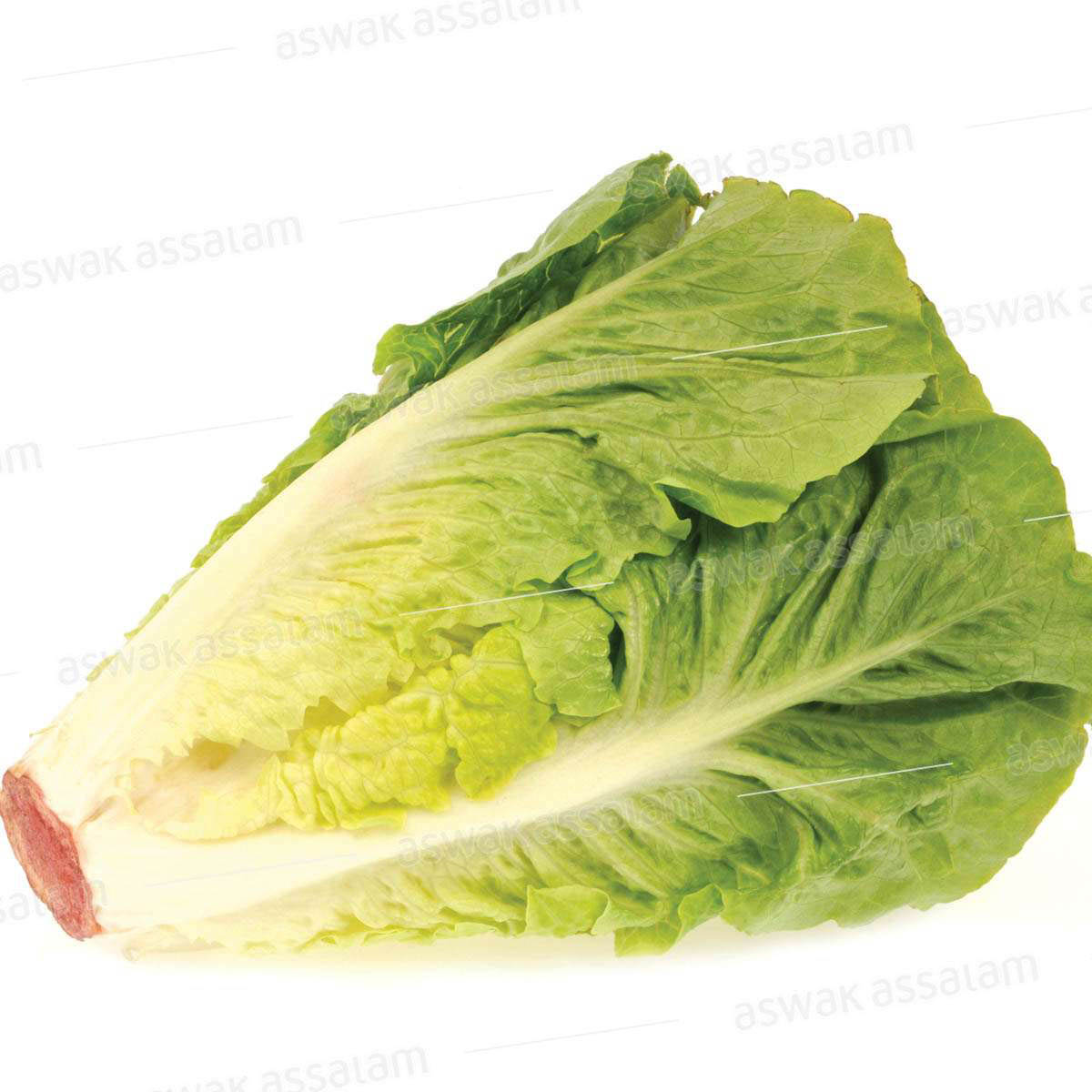 SALADE VERTE A LA PIECE