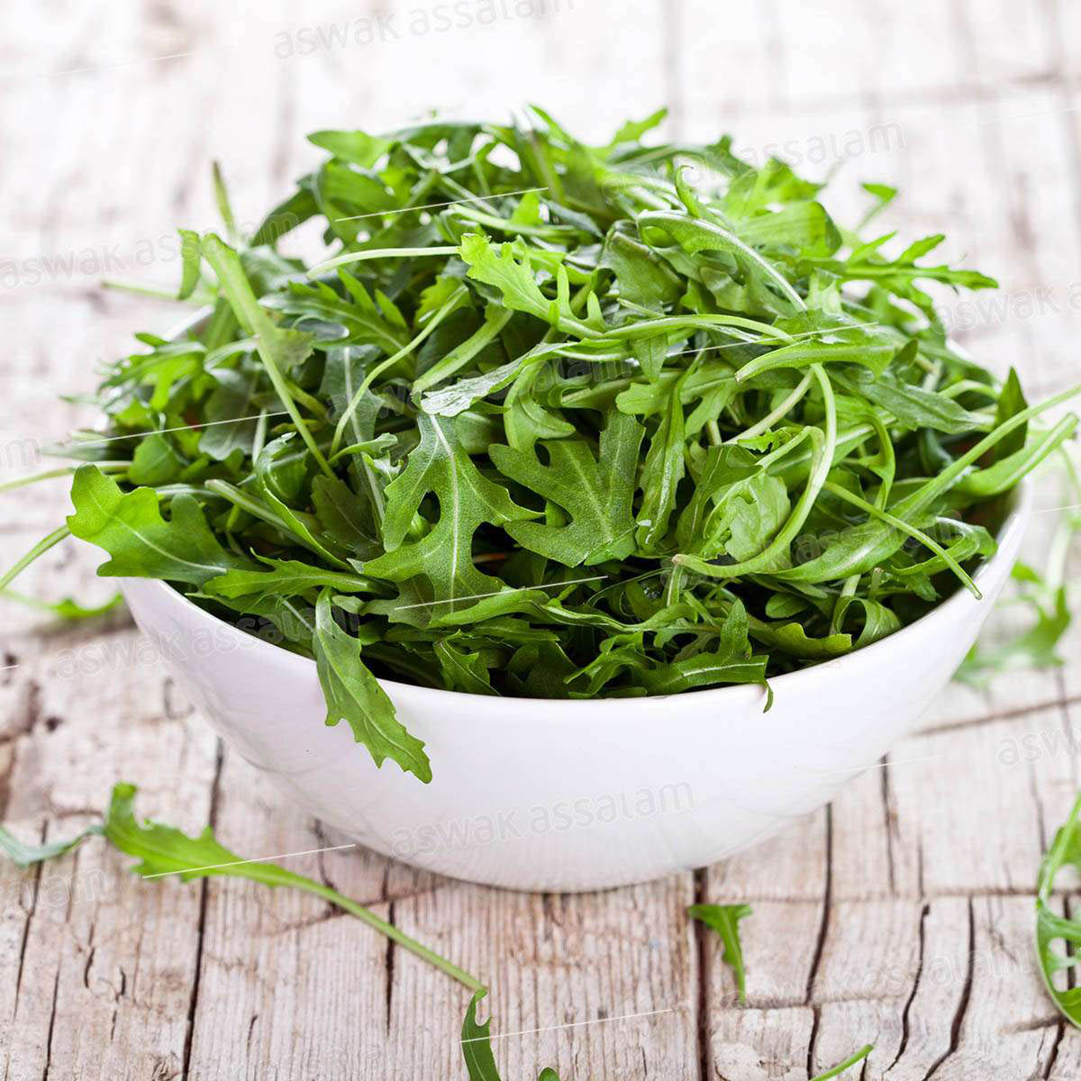 ROQUETTE IMPORT BARQUETTE 125G