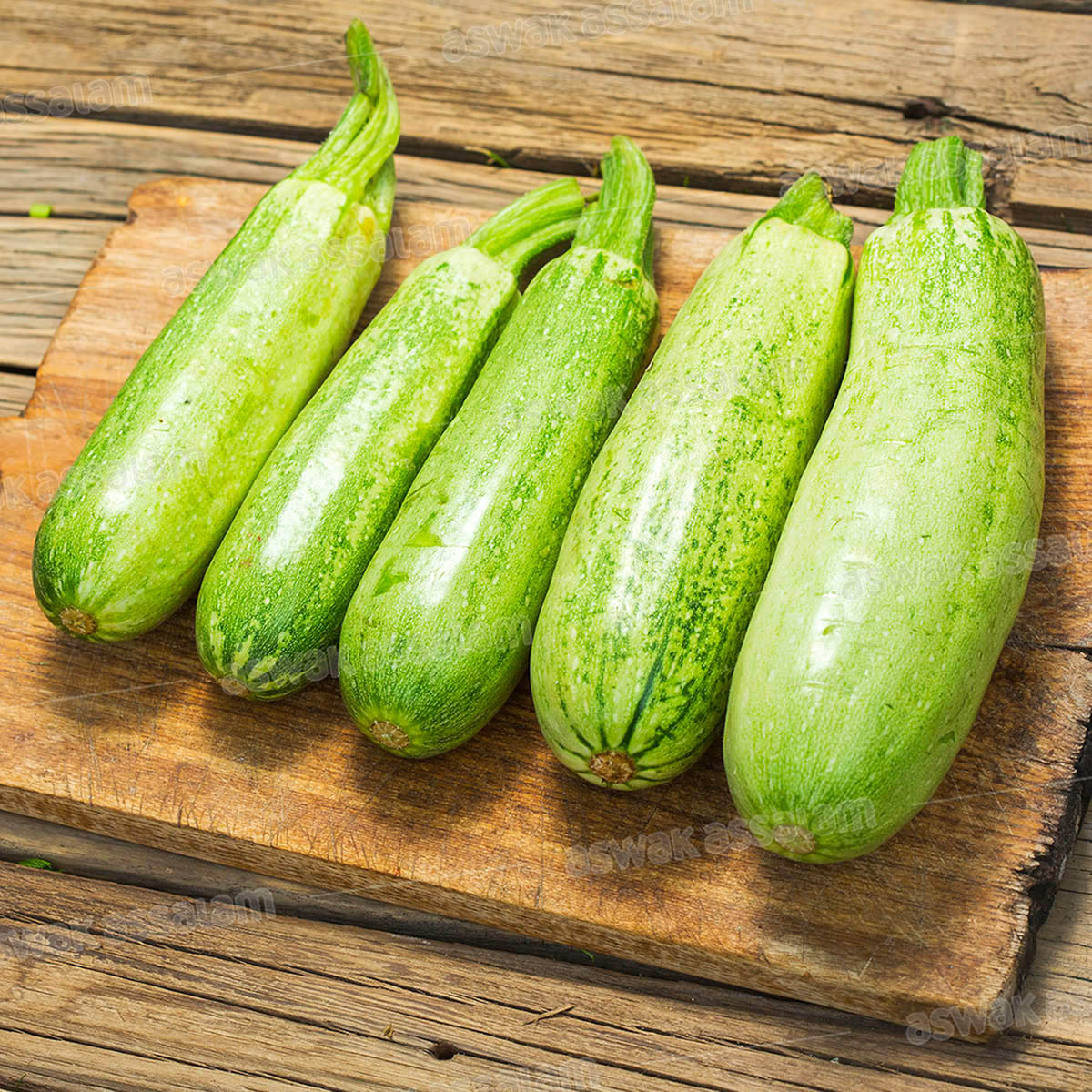 COURGETTE BLANCHE 1KG