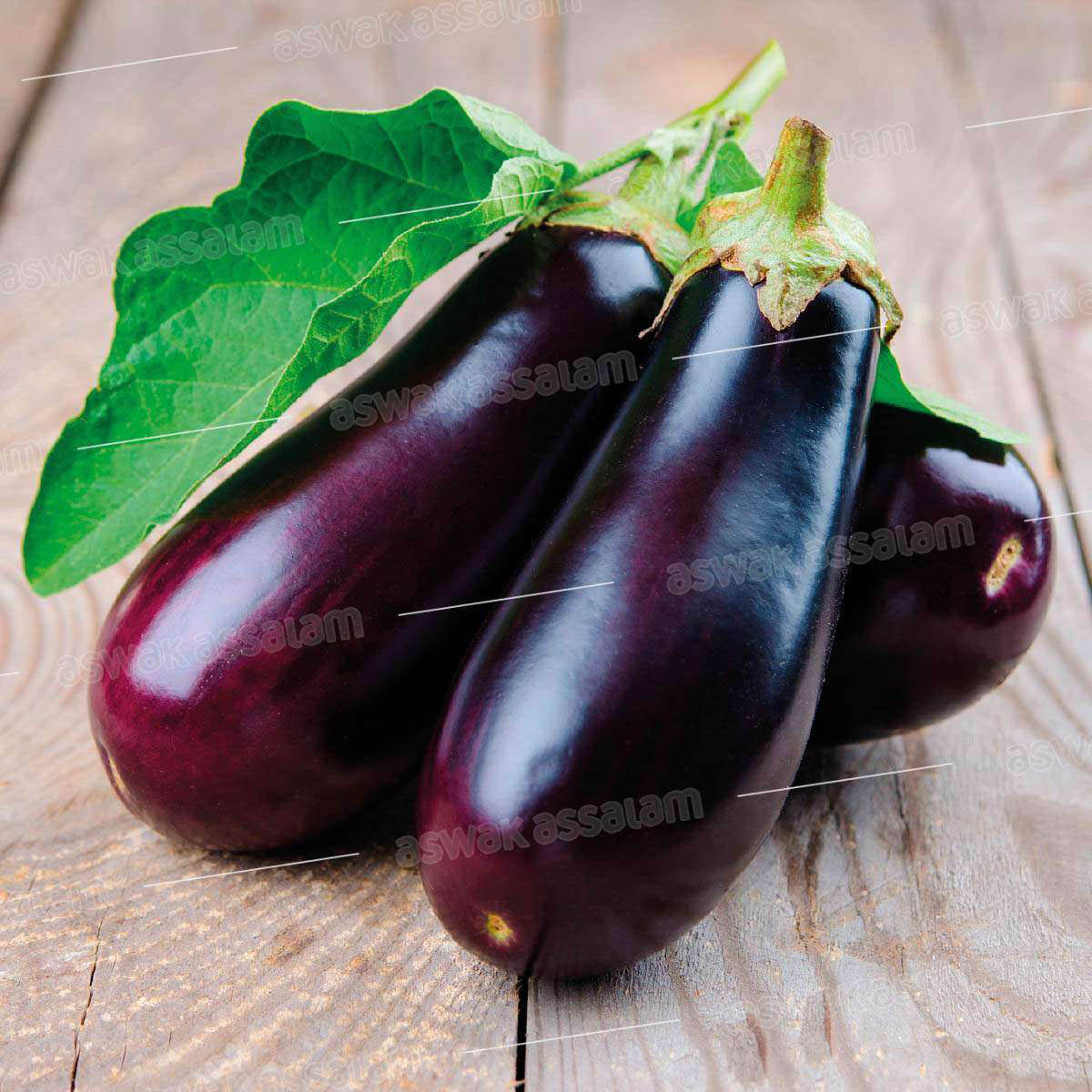 AUBERGINE 1KG