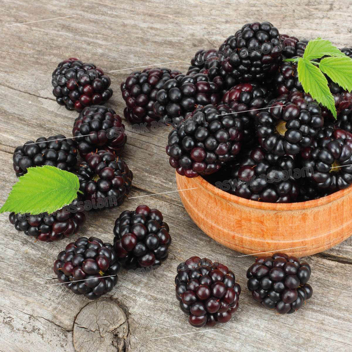 MURE  BARQUETTE 125G