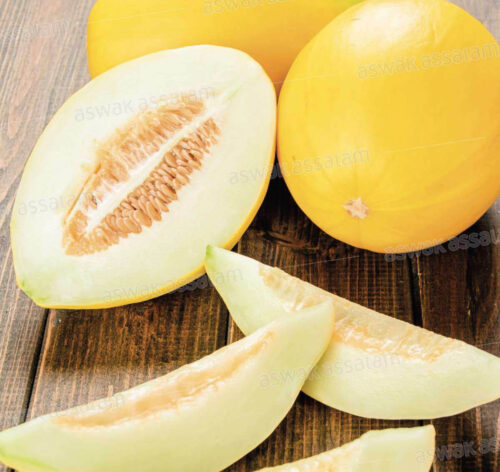MELON JAUNE A LA PIECE (2-3KG)