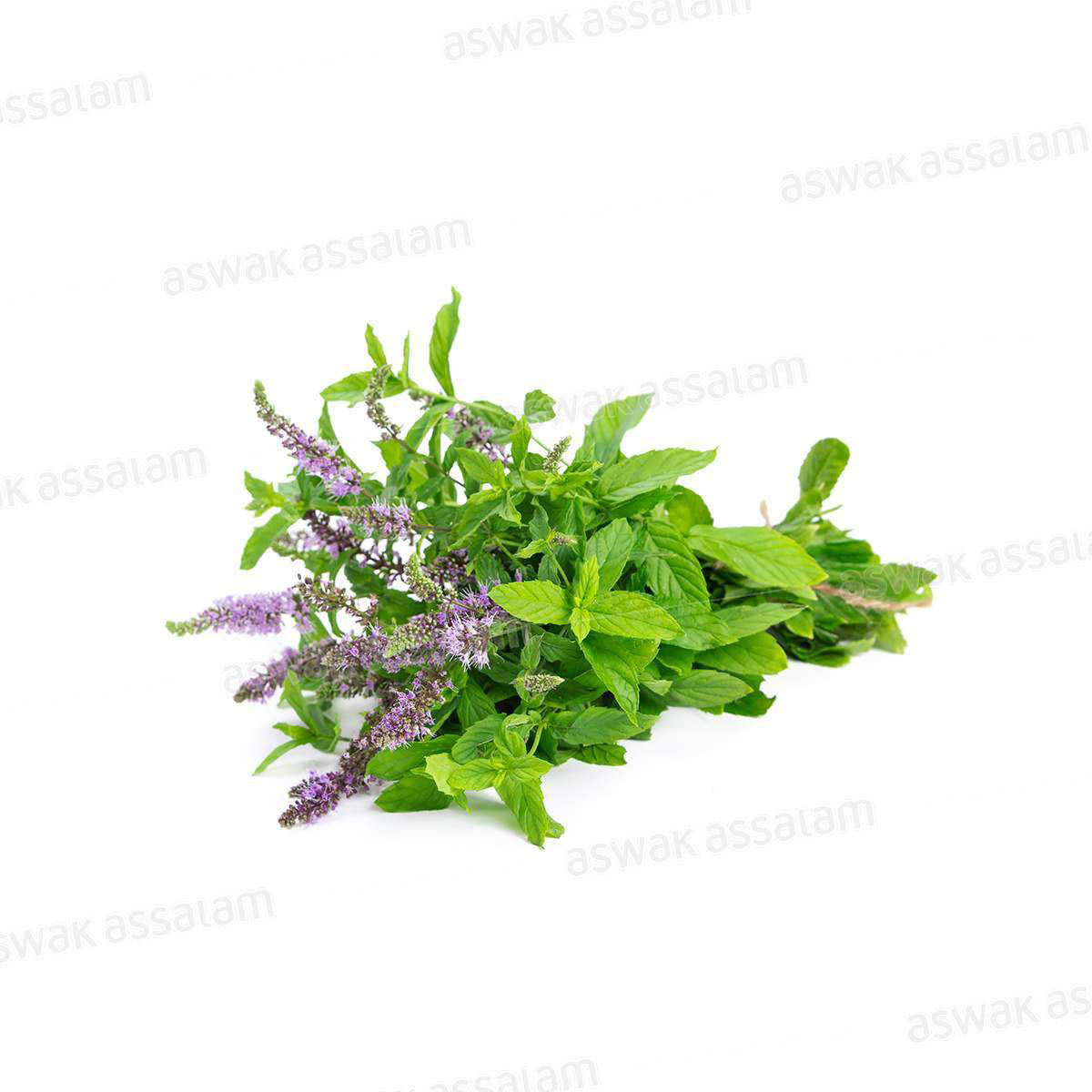 MENTHE POULIOT (FLEYOU) BOTTE