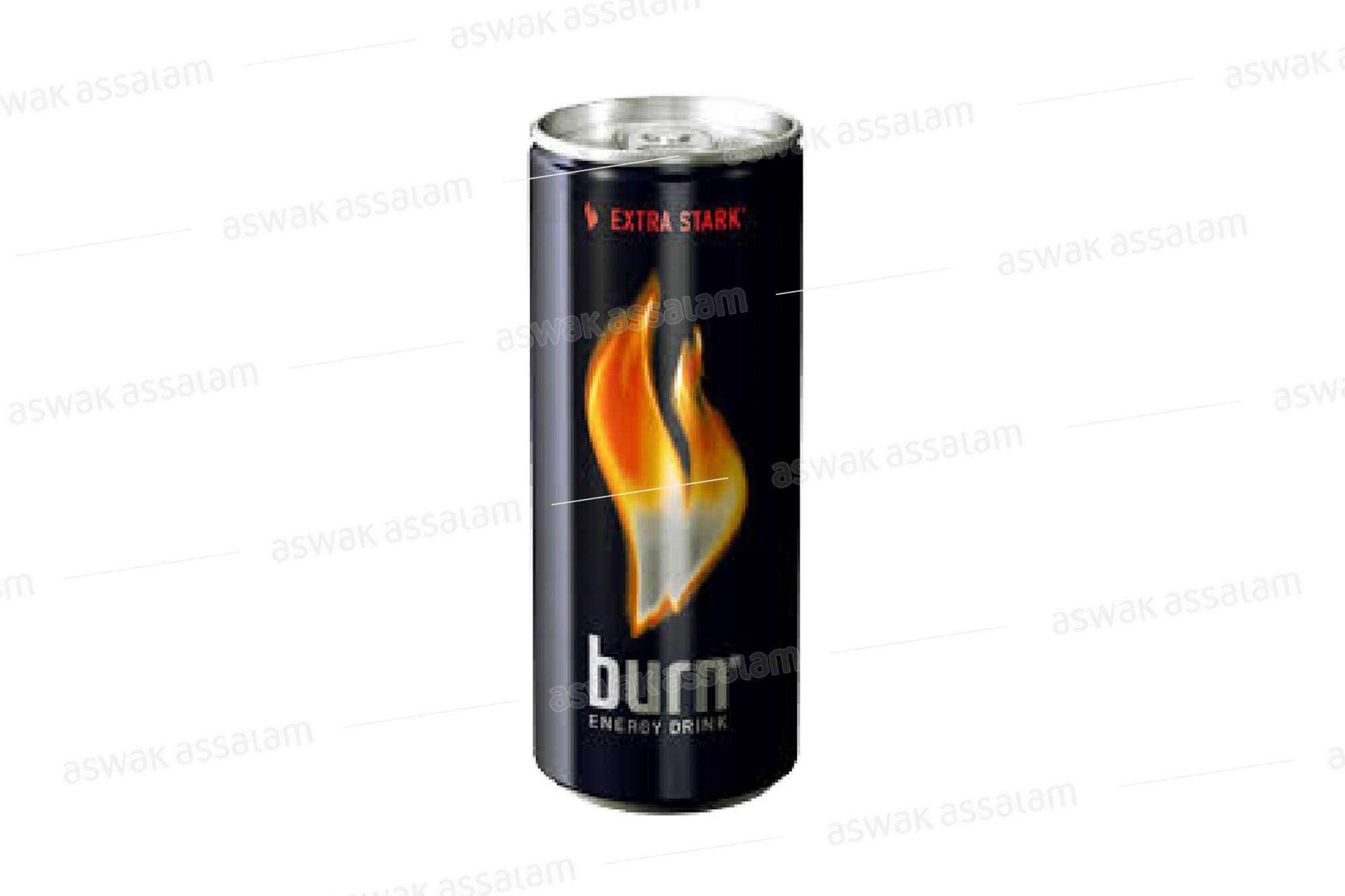 BOISSON ENERGETIQUE 25CL BURN