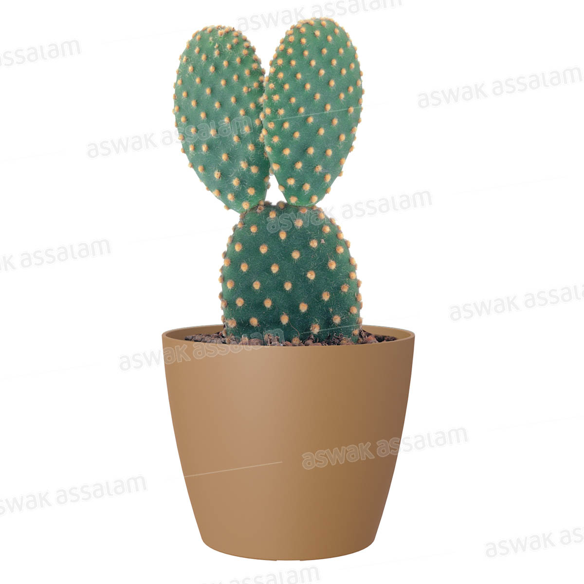 POT DE FLEURS JAUNE MOUTARDE 9CM SAN REMO