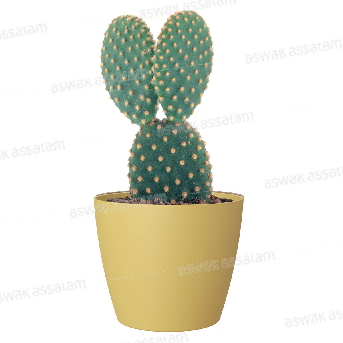 POT DE FLEURS JAUNE 9CM SAN REMO