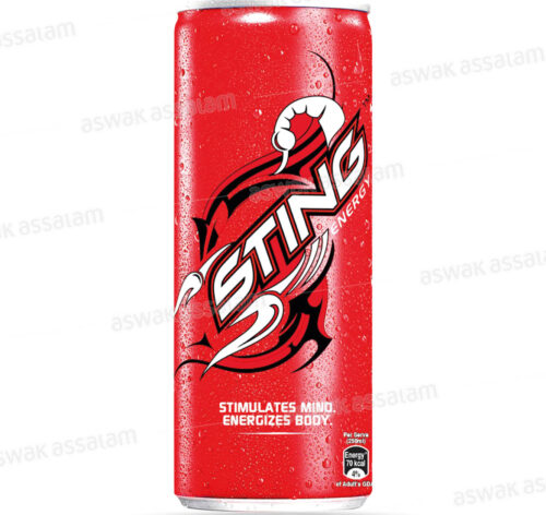 BOISSON ENERGISANTE BURRY BLAST 25CL STING