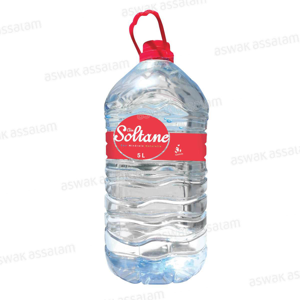 EAU MINERALE NATURELLE 5L AIN SOLTANE