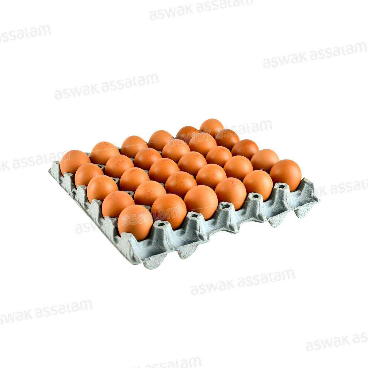 OEUFS FRAIS PLATEAU 30 UNITES WADIF