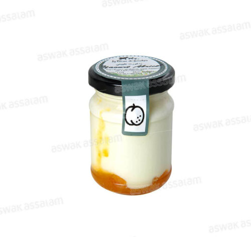 YAOURT BRASSE BIO SUR LIT D’ABRICOT 125G LA FERME DE BOUSKOU