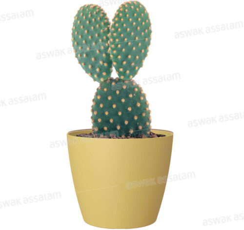 POT DE FLEURS JAUNE 9CM SAN REMO