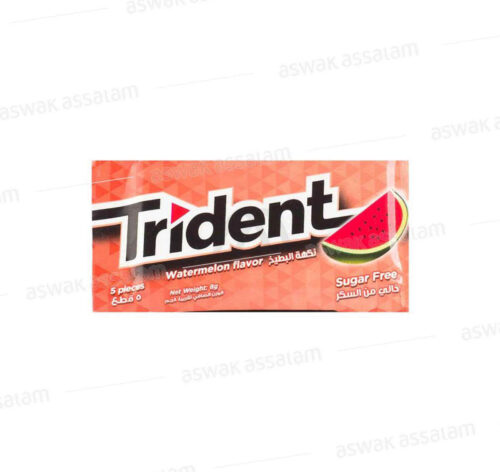 CHEWING-GUM WATERMELON 5 PIECES TRIDENT